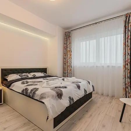 Zen Brasov