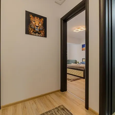 Apartment Zen Brasov